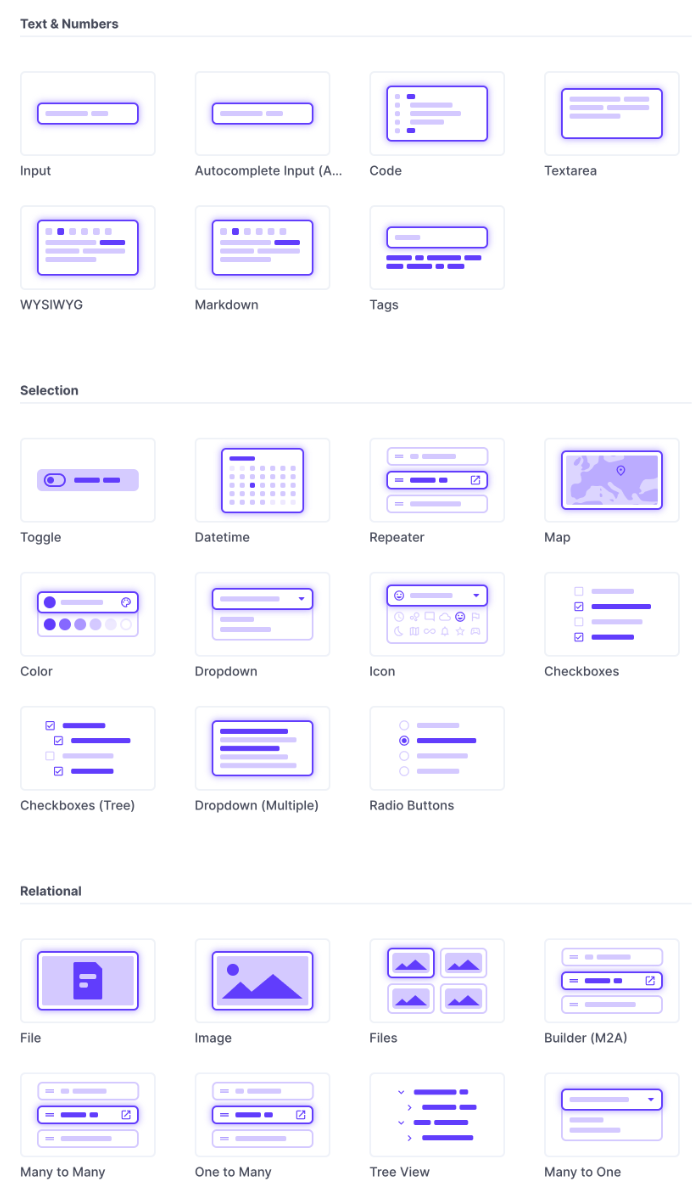 Directus fields
