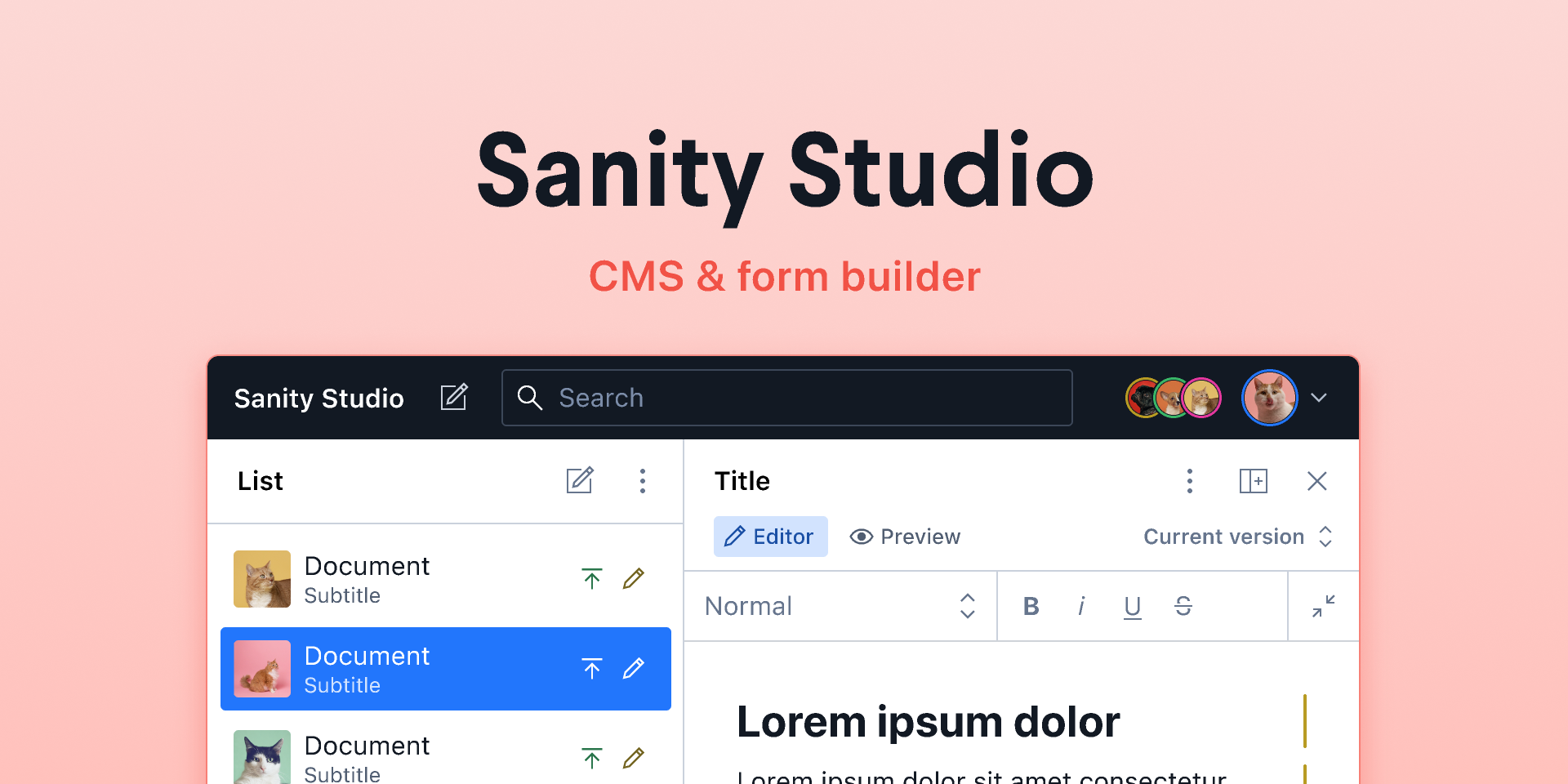 Sanity Headless CMS and Customization