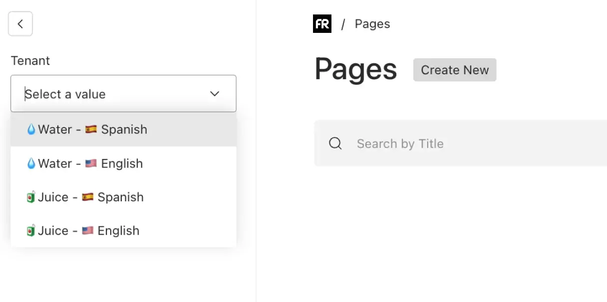Multibrand and multilanguage CMS
