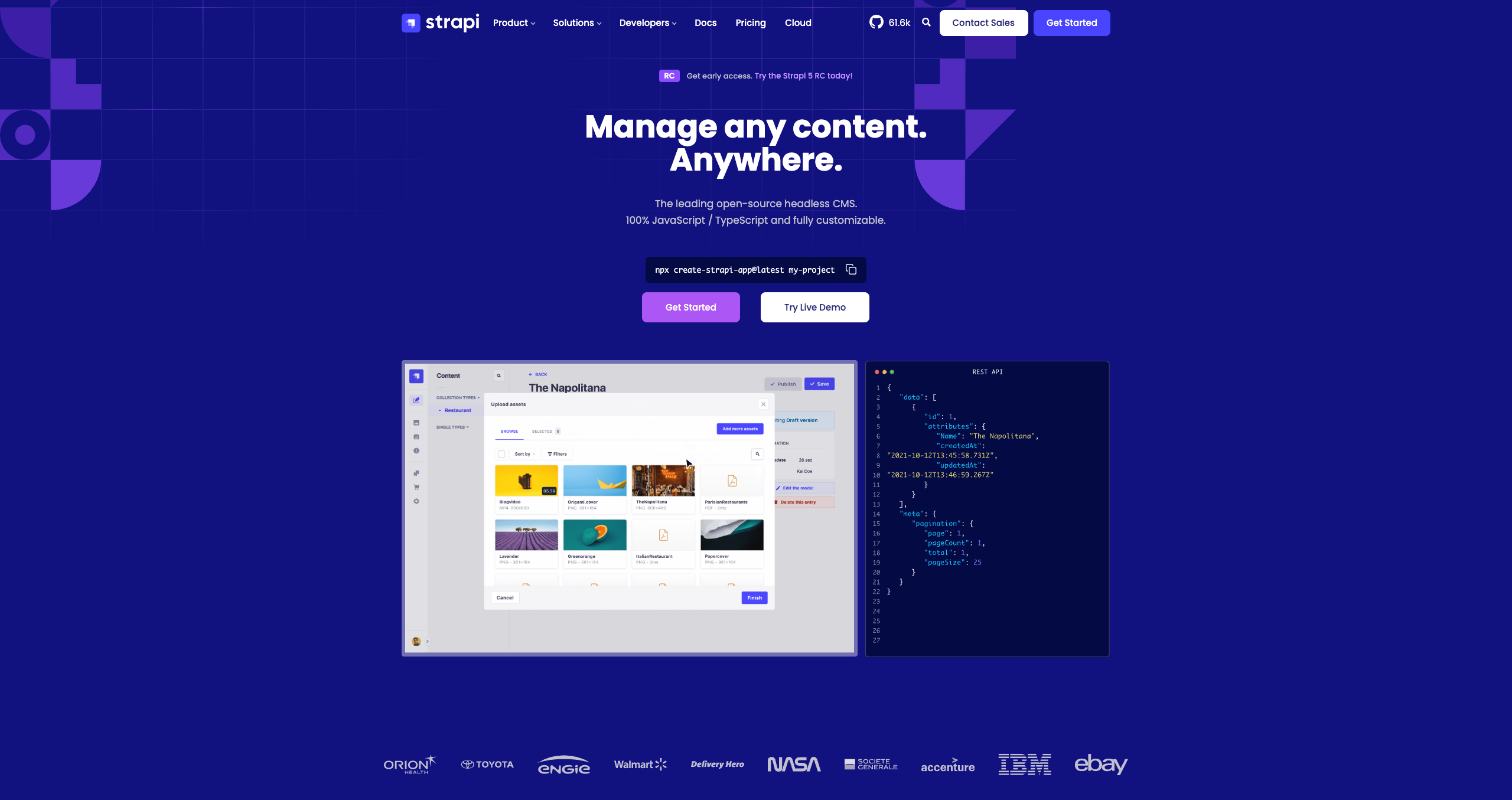 Strapi interface